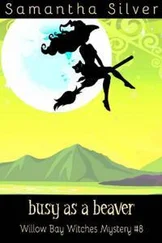 Саманта Сильвер - Busy As A Beaver