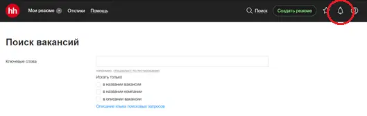 Поля Требуемый опыт и Уровень заработной платы на мой взгляд бесполезны - фото 34