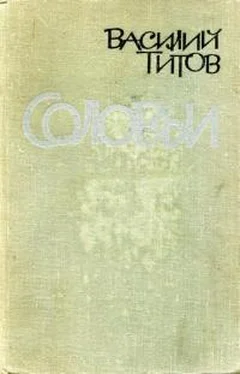 Василий Титов Соловьи обложка книги
