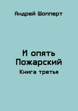 Андрей Шопперт И опять Пожарский 3 обложка книги