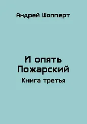 Андрей Шопперт - И опять Пожарский 3