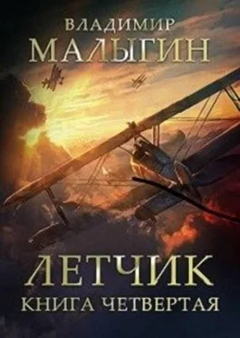 Владимир Малыгин Летчик 4 [СИ] обложка книги