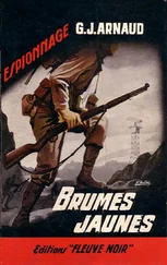 Georges-Jean Arnaud - Brumes jaunes