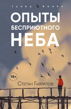 Степан Гаврилов Опыты бесприютного неба [litres] обложка книги