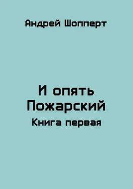 Андрей Шопперт И опять Пожарский обложка книги