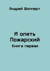 Андрей Шопперт - И опять Пожарский