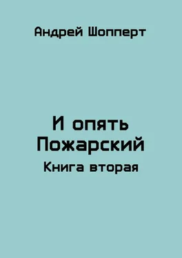 Андрей Шопперт И опять Пожарский 2 обложка книги