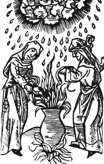 Ведьмы вызывающие бурю Из книги Ульриха Молитора De Lamiis 1489 - фото 3