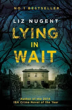 Liz Nugent Lying in Wait обложка книги