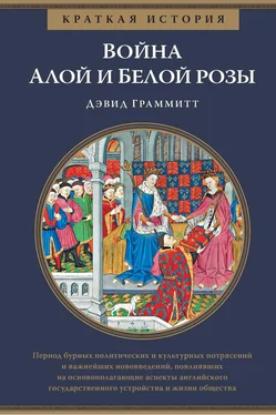 Дэвид Граммитт Краткая история. Война Алой и Белой розы обложка книги