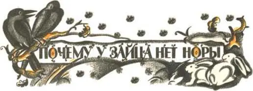 И правда у барсука есть нора у бобра хатка у белки дупло у волка логово у - фото 26
