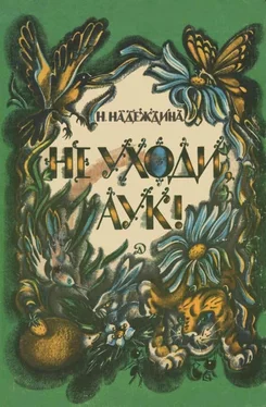 Надежда Надеждина Не уходи, Аук! [Лесные сказки] обложка книги