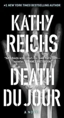 Кэти Райх - Death Du Jour