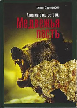 Алексей Ходорковский Медвежья пасть. Адвокатские истории обложка книги