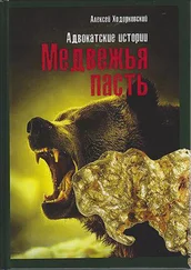 Алексей Ходорковский - Медвежья пасть. Адвокатские истории