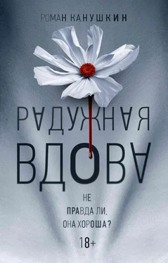 Роман Канушкин Радужная вдова обложка книги