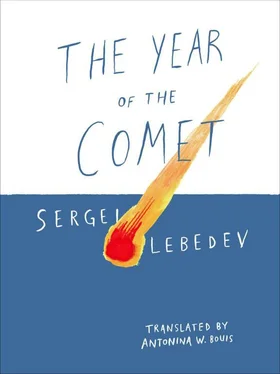 Сергей Лебедев The Year of the Comet обложка книги