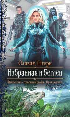 Оливия Штерн Избранная и беглец обложка книги