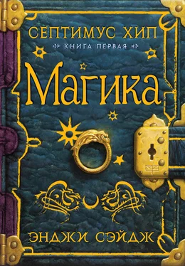 Энджи Сэйдж Магика [litres] обложка книги