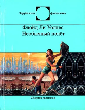 Фредерик Уоллес Необычный полёт обложка книги