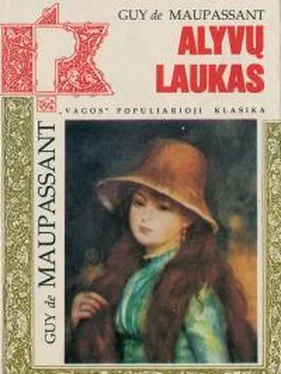 Ги Мопассан Alyvų laukas обложка книги