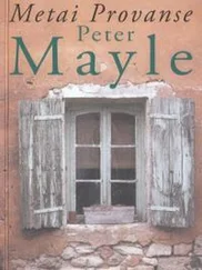 Питер Мейл - Metai Provanse