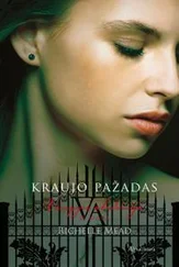 Райчел Мид - Kraujo pažadas