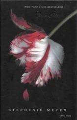 Стефани Майер - Jaunatis