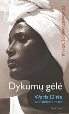 Waris Miller Dykumų gėlė обложка книги