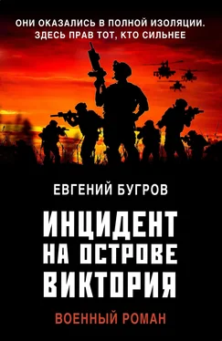 Евгений Бугров Инцидент на острове Виктория обложка книги