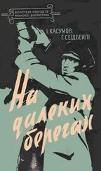 Гасан Сеидбейли - На далеких берегах