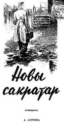 Александр Осипенко - Новы сакратар