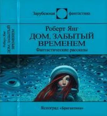 Роберт Янг Дом, забытый временем обложка книги