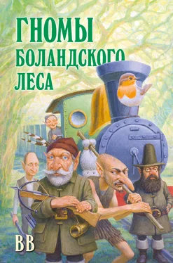 Дéнис Уоткинс-Питчфорд Гномы Боландского леса [litres] обложка книги