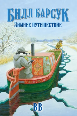 Дéнис Уоткинс-Питчфорд Билл Барсук. Зимнее путешествие [litres] обложка книги