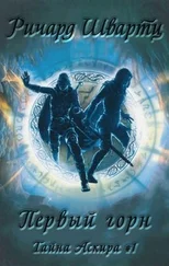 Рихард Швартц - Первый горн