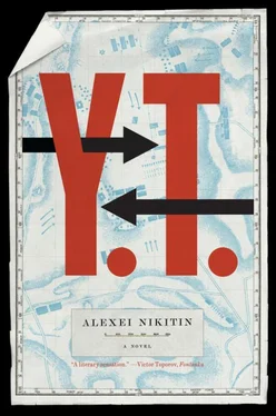 Алексей Никитин Y.T. обложка книги