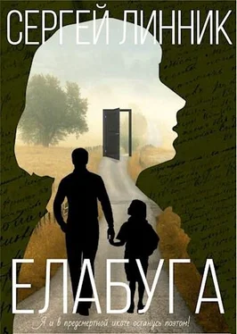 Сергей Линник Елабуга обложка книги