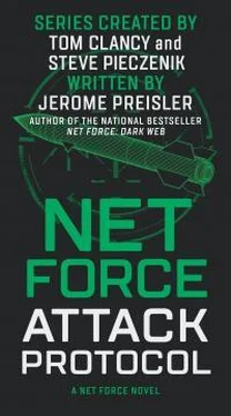 Jerome Preisler Net Force--Attack Protocol обложка книги