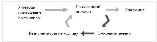Рисунок 72 Гормональное ожирение 4 повышенный инсулин ожирение печени - фото 63