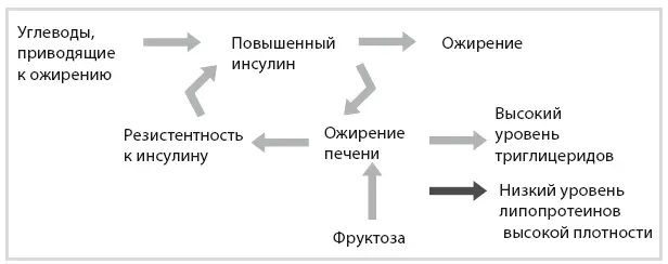 Рисунок 92 Гормональное ожирение 7 ожирение печени низкий уровень - фото 83