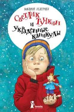 Виктория Ледерман Светлик Тучкин и украденные каникулы обложка книги