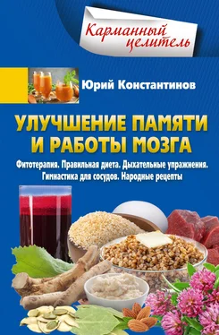 Юрий Константинов Улучшение памяти и работы мозга [Фитотерапия. Правильная диета. Дыхательные упражнения. Гимнастика для сосудов. Народные рецепты] [litres] обложка книги