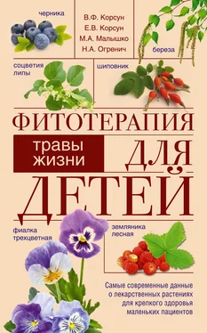 Елена Корсун Фитотерапия для детей. Травы жизни [litres] обложка книги