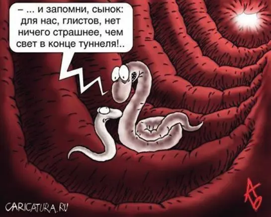 Лечение аллергии травами и лекарственными сборами Лечение аллергии народными - фото 40