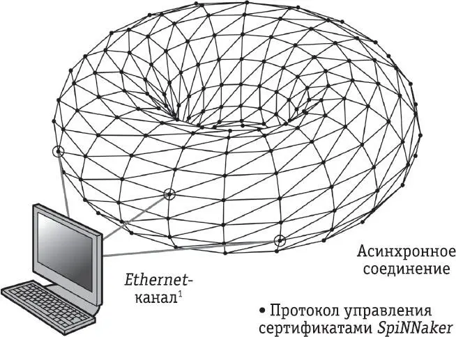 1 Ethernet технология которая позволяет соединять проводные локальные сети - фото 37