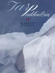 Scarlett O’Kelly - Tarp paklodžių