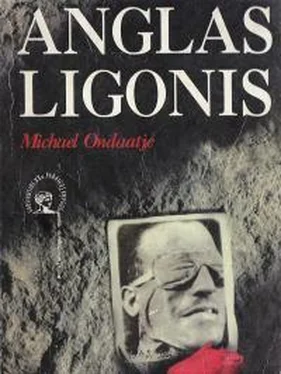 Майкл Ондатже Anglas ligonis обложка книги