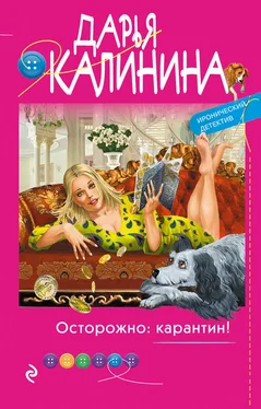 Дарья Калинина Осторожно: карантин! обложка книги