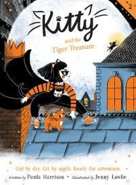 Пола Харрисон Kitty And The Tiger Treasure обложка книги